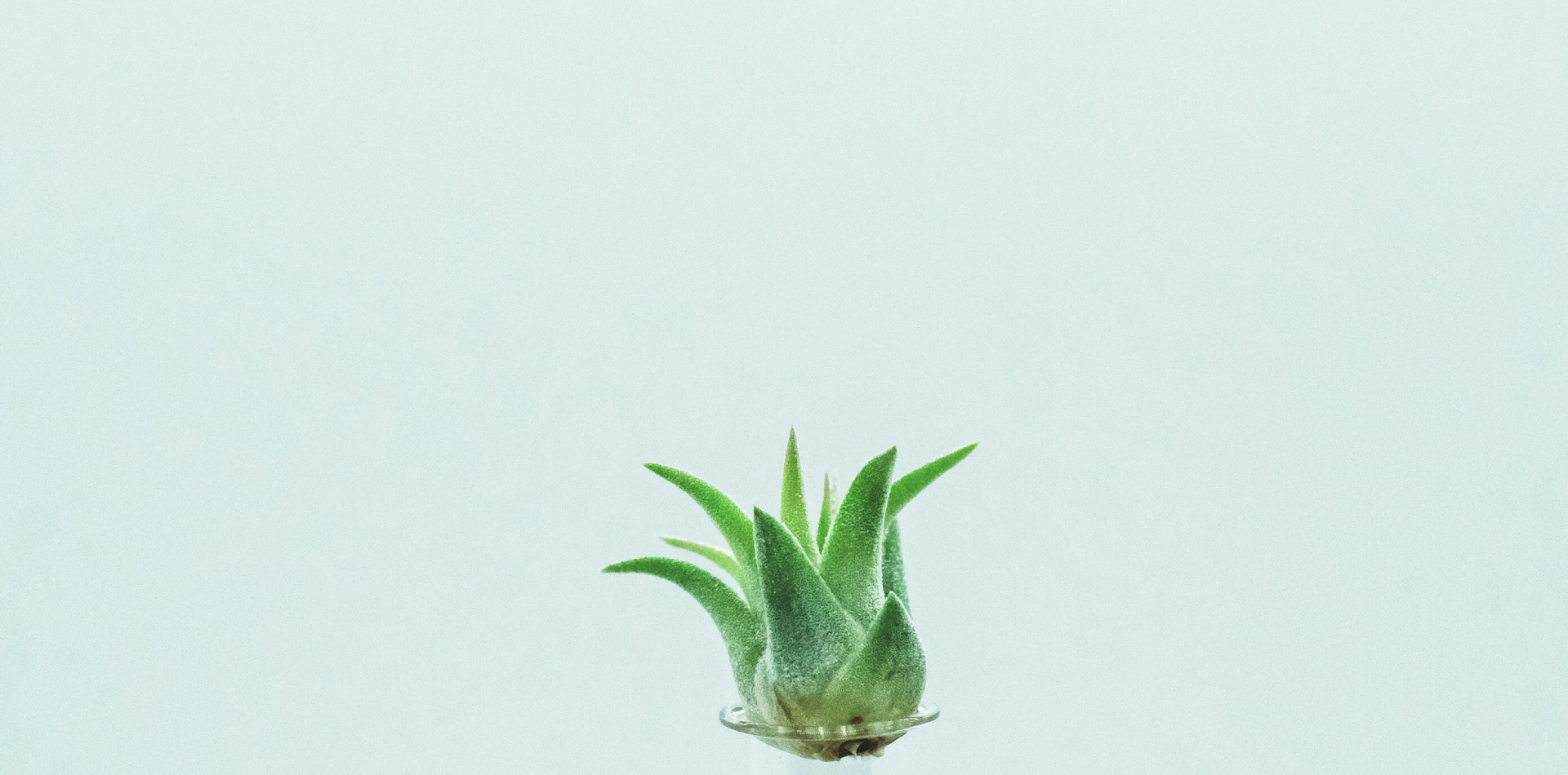 永雄天然植物食品廠